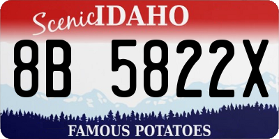ID license plate 8B5822X