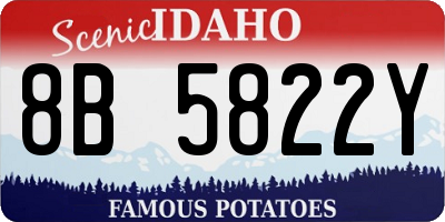 ID license plate 8B5822Y