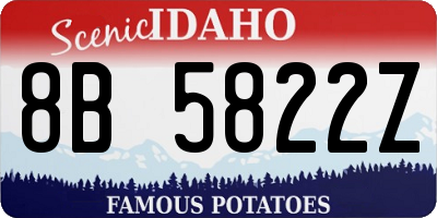 ID license plate 8B5822Z