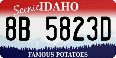 ID license plate 8B5823D