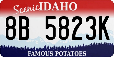 ID license plate 8B5823K