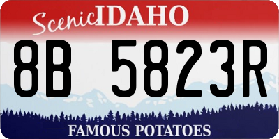 ID license plate 8B5823R