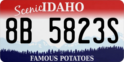ID license plate 8B5823S