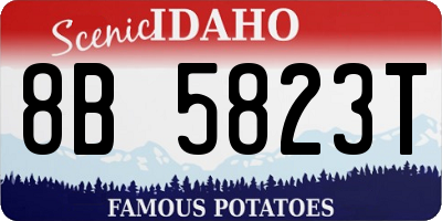 ID license plate 8B5823T