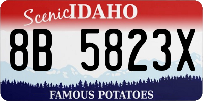ID license plate 8B5823X