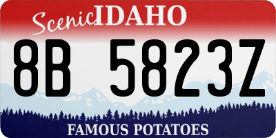 ID license plate 8B5823Z
