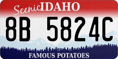 ID license plate 8B5824C