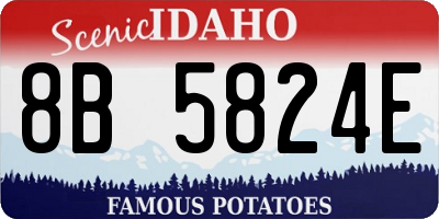 ID license plate 8B5824E