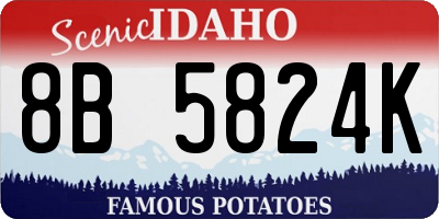 ID license plate 8B5824K