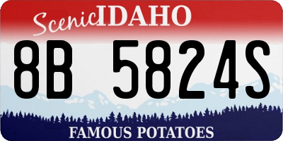 ID license plate 8B5824S
