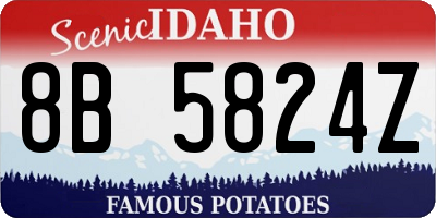 ID license plate 8B5824Z