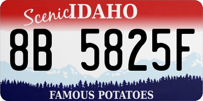 ID license plate 8B5825F