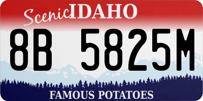 ID license plate 8B5825M
