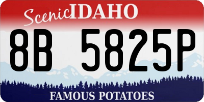 ID license plate 8B5825P