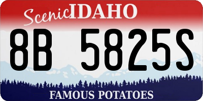 ID license plate 8B5825S