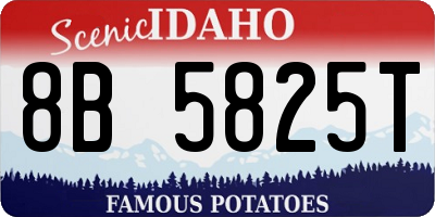 ID license plate 8B5825T