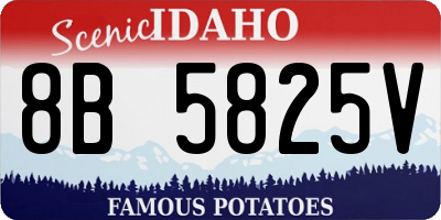 ID license plate 8B5825V