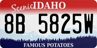 ID license plate 8B5825W