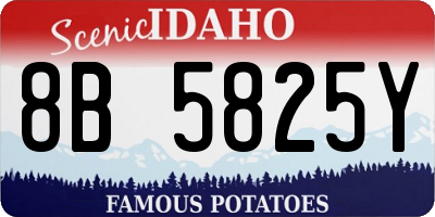 ID license plate 8B5825Y