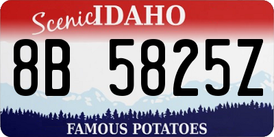 ID license plate 8B5825Z