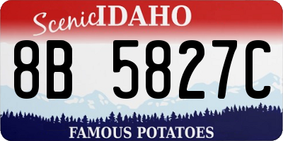 ID license plate 8B5827C