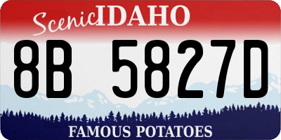 ID license plate 8B5827D