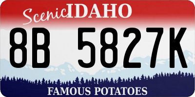 ID license plate 8B5827K