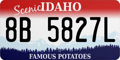 ID license plate 8B5827L