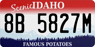 ID license plate 8B5827M