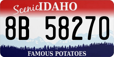 ID license plate 8B5827O