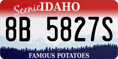 ID license plate 8B5827S