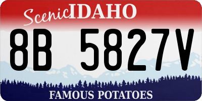 ID license plate 8B5827V