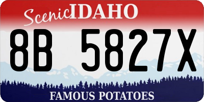 ID license plate 8B5827X