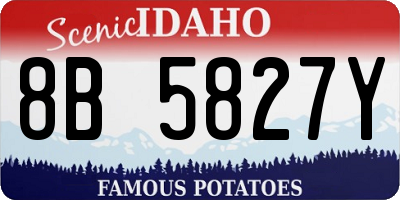 ID license plate 8B5827Y
