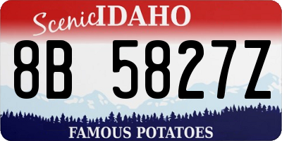 ID license plate 8B5827Z
