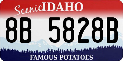 ID license plate 8B5828B