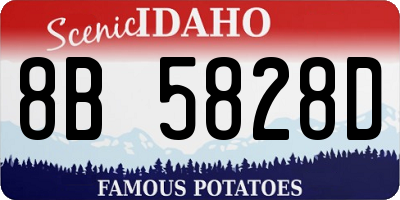 ID license plate 8B5828D