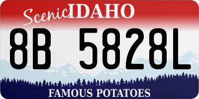 ID license plate 8B5828L