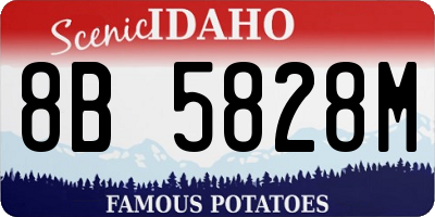ID license plate 8B5828M