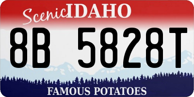 ID license plate 8B5828T