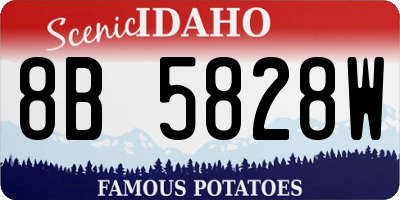 ID license plate 8B5828W