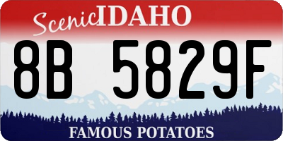 ID license plate 8B5829F