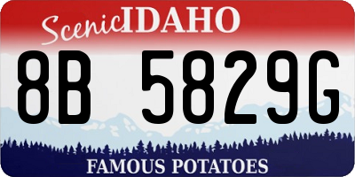 ID license plate 8B5829G
