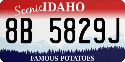 ID license plate 8B5829J