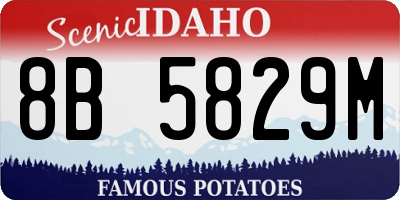 ID license plate 8B5829M