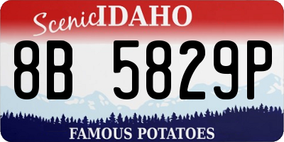 ID license plate 8B5829P