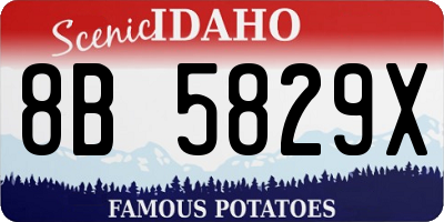 ID license plate 8B5829X