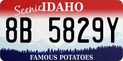 ID license plate 8B5829Y