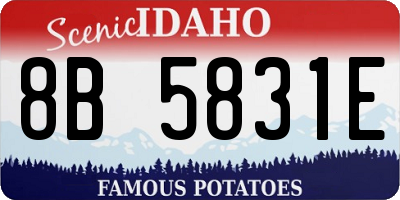 ID license plate 8B5831E