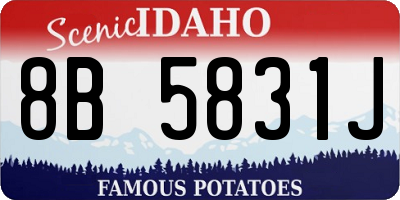 ID license plate 8B5831J